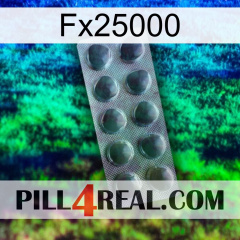 Fx25000 30